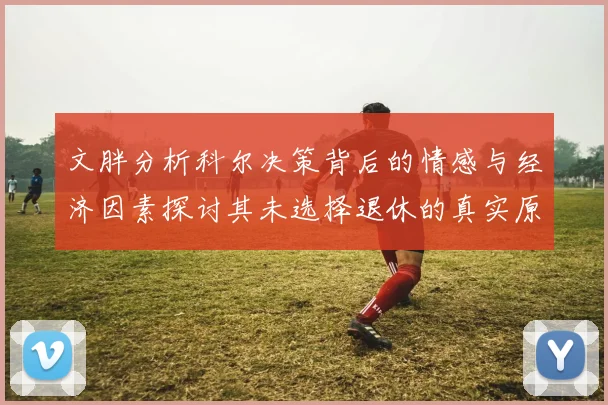 文胖分析科尔决策背后的情感与经济因素探讨其未选择退休的真实原因