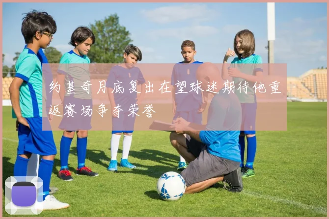 约基奇月底复出在望球迷期待他重返赛场争夺荣誉