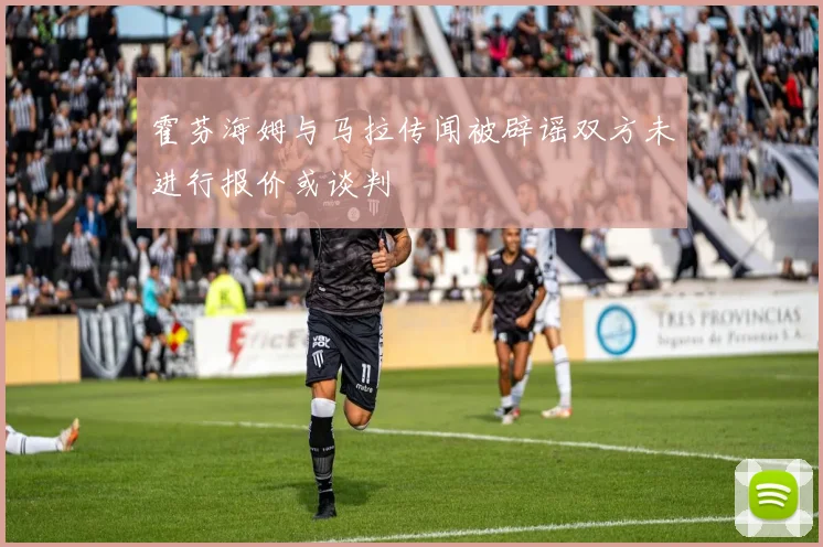 霍芬海姆与马拉传闻被辟谣双方未进行报价或谈判